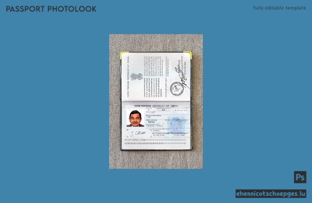 Indischer Reisepass (2013 bis heute): Beispielansicht des Passfotos